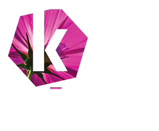 kornit logo
